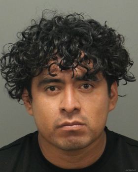 Efren  Martinez-hernand Mugshot