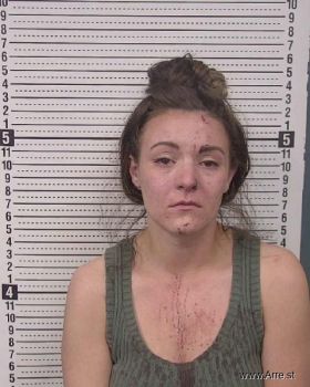 Elizabeth Aspen Brown Mugshot