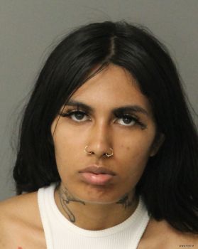 Elizabeth Marie Gonzalez Mugshot