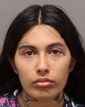 Elizabeth Marie Gonzalez Mugshot