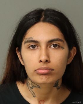 Elizabeth Marie Gonzalez Mugshot