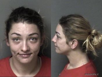 Elizabeth Michelle Johnson Mugshot