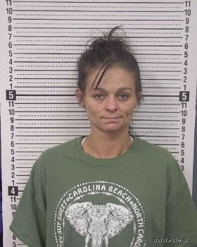 Elizabeth Ilene Price Mugshot