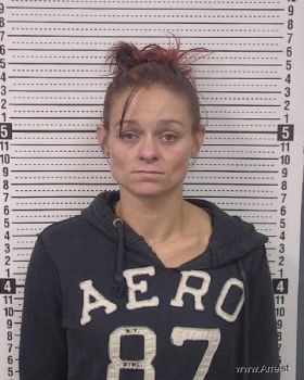 Elizabeth Ilene Price Mugshot