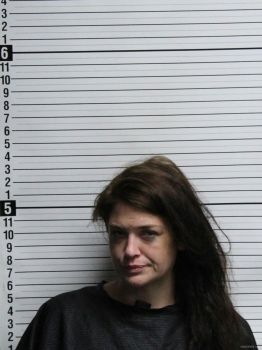 Elizabeth Suzanne Stone Mugshot