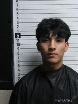 Elmer  De Leon Mugshot