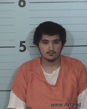 Emillio Jesus Villarreal Mugshot