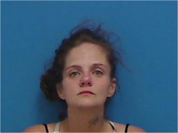 Erica Dawn Davis Mugshot