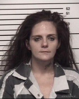 Erica Dawn Davis Mugshot