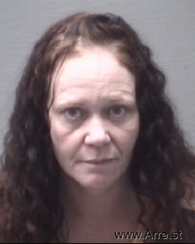 Erica Dawn King Mugshot