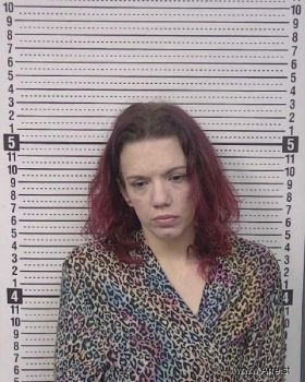 Erica Dawn Lafferty Mugshot