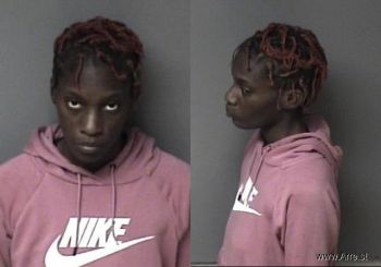 Erica  Mcintosh Mugshot