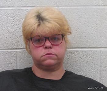 Erica Dawn Mills Mugshot