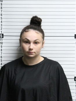 Erica Paige Stanley Mugshot