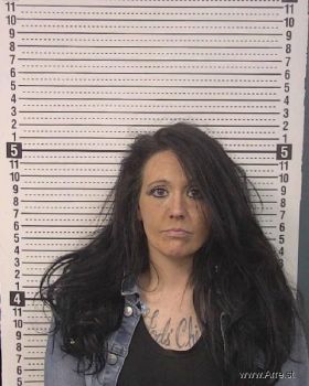 Erica Lindsay Walker Mugshot