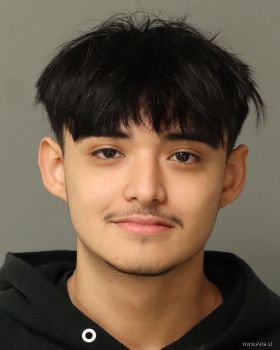 Erick  Fernandez-montoy Mugshot