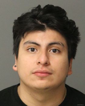 Ericson David Gomez-vicente Mugshot