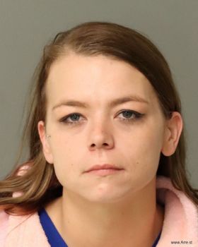 Erin Michelle Farmer Mugshot