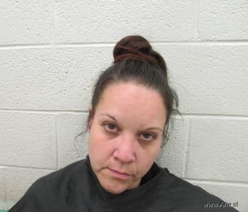 Erin Elizabeth Roy Mugshot