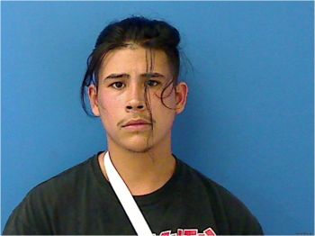 Fernando  Ramirez Mugshot