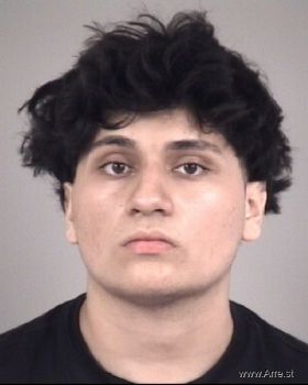 Francisco Manuel Carrillo Mugshot