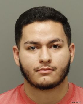 Gabriel  Alvarez-ibarra Mugshot