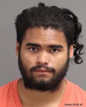 Gabriel Jesus Jr Alvarez Mugshot