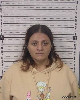 Gabriela Judith Hernandez Perez Mugshot