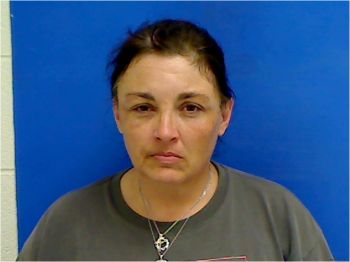 Gina Annette Mullins Mugshot