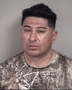 Guillermo  Sanchez-hernandez Mugshot