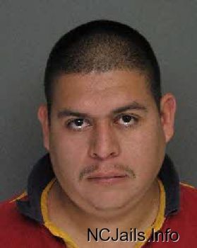 Homero Gonzalez Martinez Mugshot