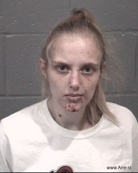 Haily Ann Long Mugshot