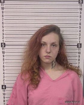 Harleah Cheyene Mcgee Laney Mugshot