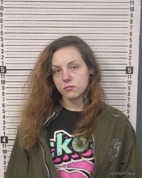 Harleah Cheyene Mcgee Laney Mugshot