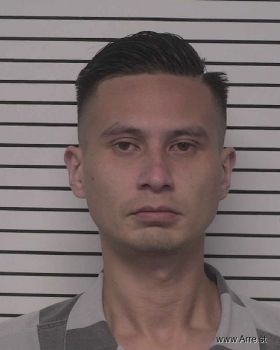 Hau Minh Nguyen Mugshot