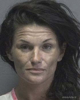 Heather Sheri Bland Mugshot