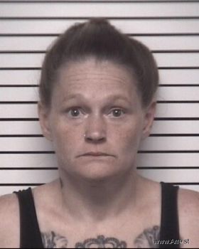 Heather Lynne Bostian Mugshot