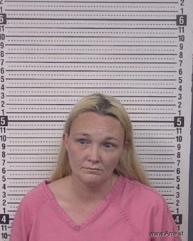 Heather Ann Everett Mugshot