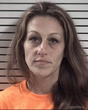 Heather Lynn Hopkins Mugshot