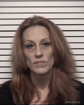 Heather Lynn Hopkins Mugshot