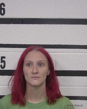 Heather Elizabeth Howe Mugshot