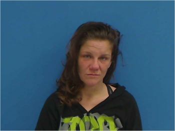 Heather Kaye Jenkins Mugshot