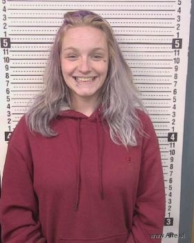 Heather Adelle Link Mugshot