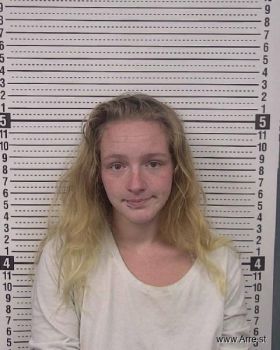 Heather Adelle Link Mugshot