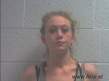 Heather Nicole Skinner Mugshot