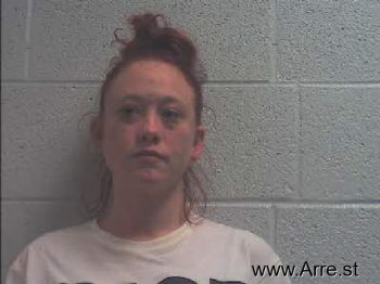 Heather Nicole Skinner Mugshot