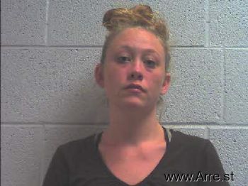 Heather Nicole Skinner Mugshot