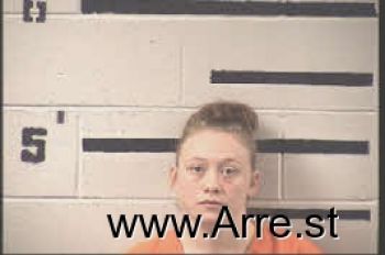 Heather Nicole Skinner Mugshot