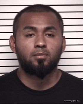 Hector Nmn Castillo-mora Mugshot