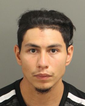 Henry  Flores-guevara Mugshot